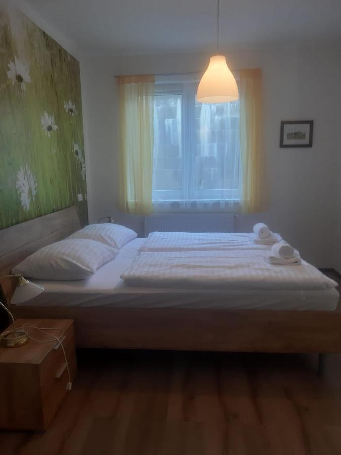 Rodinny Apartman Lucie V Blizkosti Wellness Hotelu Ve Frymburku Экстерьер фото