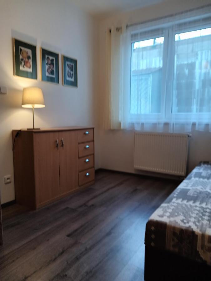 Rodinny Apartman Lucie V Blizkosti Wellness Hotelu Ve Frymburku Экстерьер фото